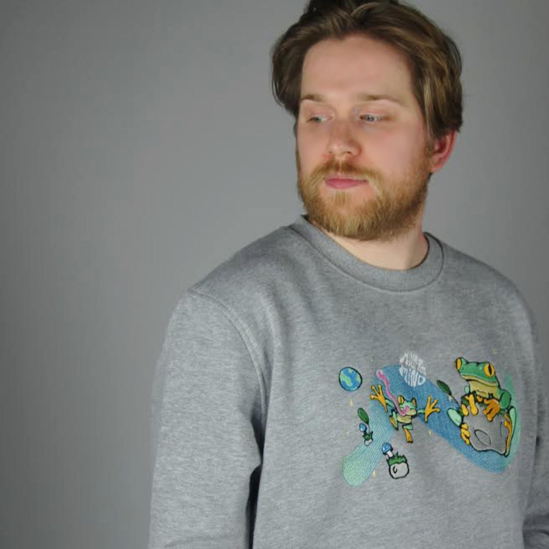 Space Frog Sweater - Grey