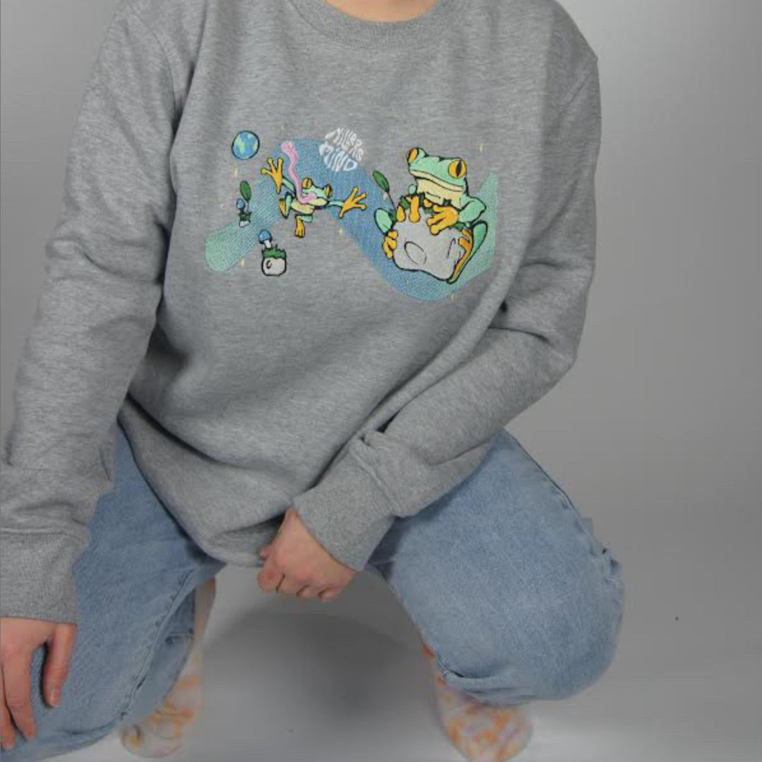 Space Frog Sweater - Grey